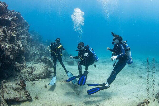 Try Scuba Diving on Kauai with Sea Turtles - Key Points
