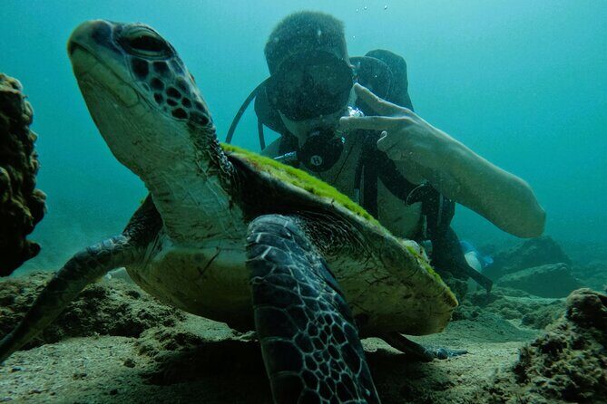 Try Scuba Diving & snorkeling with BBQ lunch & Transfer - Itinerary Breakdown: A Closer Look