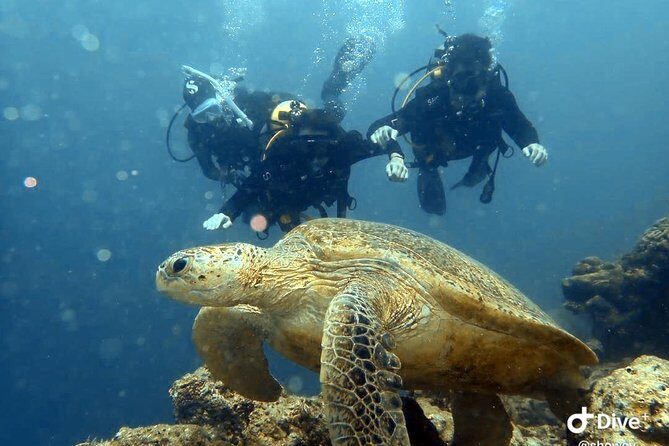 TRY SCUBA (non diver) - Key Points