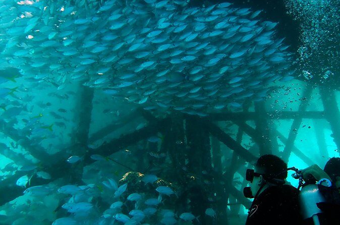 TRY SCUBA (non diver) - Frequently Asked Questions