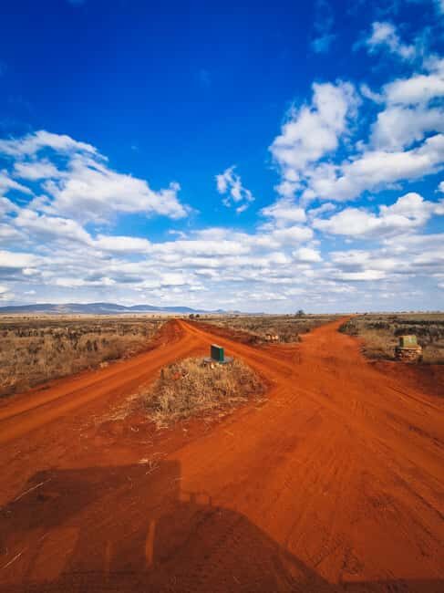 Tsavo East: 2 days of safari + visit to an orphanage - A Deep Dive into the Experience
