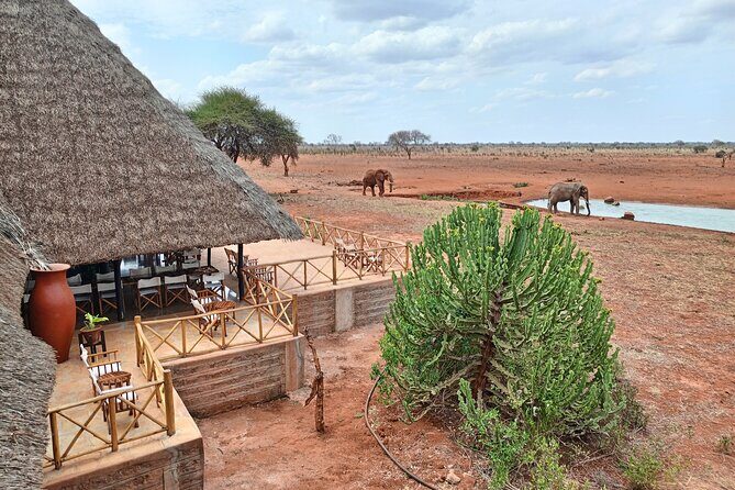 Tsavo East and Ngutuni Sanctuary Safari 3 days from Mombasa - Who Should Consider This Safari?