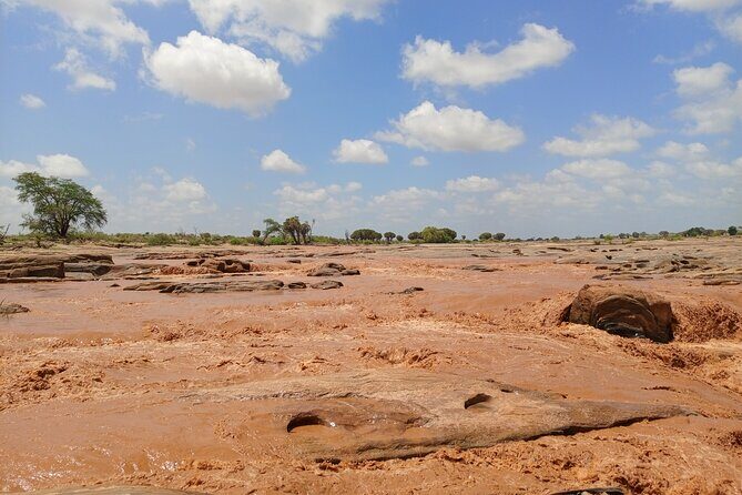Tsavo East and Ngutuni Sanctuary Safari 3 days from Mombasa - Final Thoughts