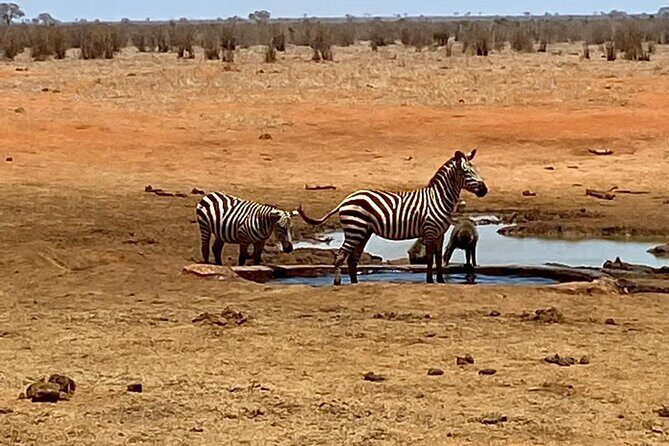 Tsavo East and Ngutuni Sanctuary Safari 3 days from Mombasa - FAQ