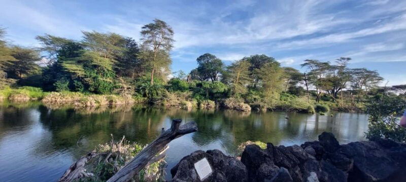 Tsavo East and Tsavo West Sanctuary Safari - Who Should Consider This Safari?