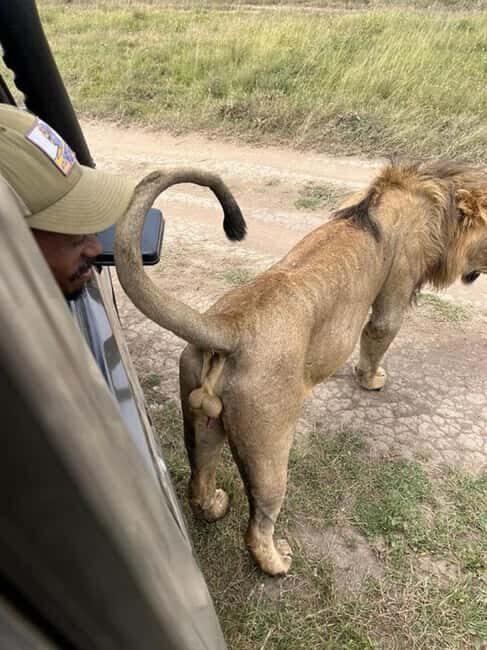 Tsavo East National Park: 3-Day Safari with Accommodation - An In-Depth Look at the 3-Day Safari Experience