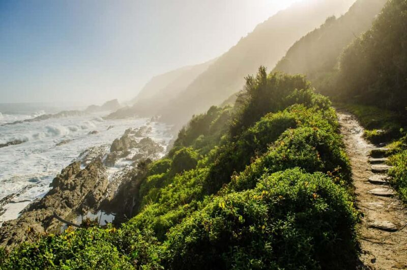 Tsitsikamma: Zipline & Storms River Mouth Private Tour - FAQ