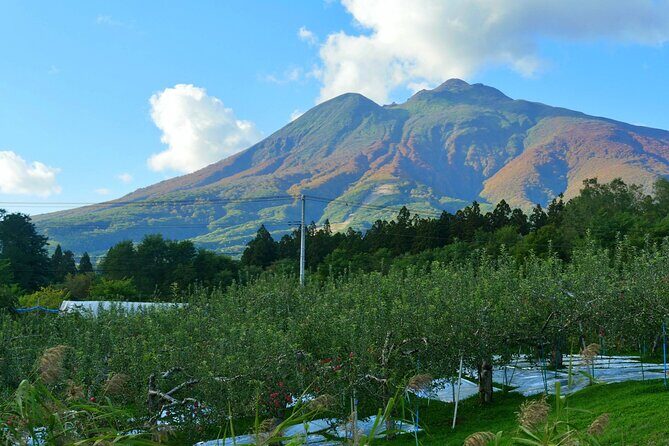 Tsugaru Fuji and Japan Sea Drive Tour by Car from Aomori Port - An In-Depth Look at the Tour Experience
