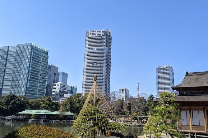 Tsukiji & Hamarikyu Gardens Wellness Tour Walk, Relax & Lunch - A Thoughtful Look at the Tsukiji & Hamarikyu Gardens Wellness Tour in Tokyo