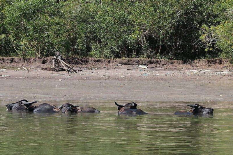 Tuaran, Sabah: Mengkabong Paradise - Key Points