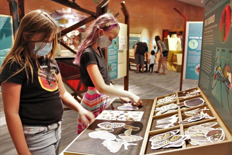 Tucson: Flandrau Science Center Entry Ticket - Why This Experience Works Well