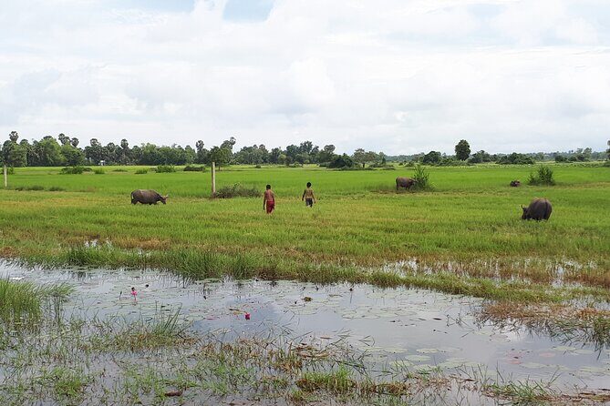 Tuk Tuk Journey: Exploring Rural Life and Silk Farm Craftsmanship - The Sum Up