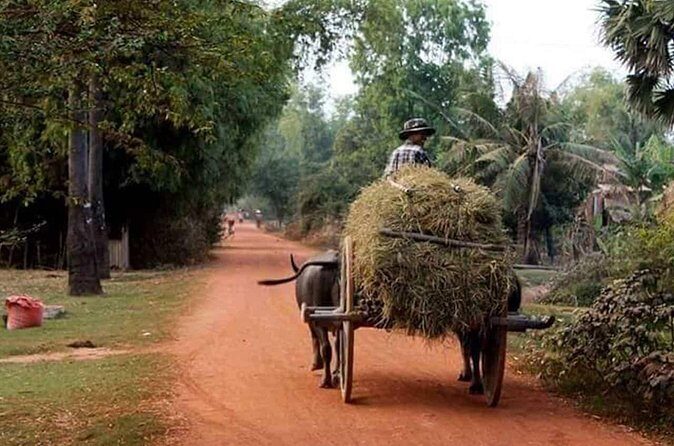 Tuk Tuk Journey: Exploring Rural Life and Silk Farm Craftsmanship - FAQ