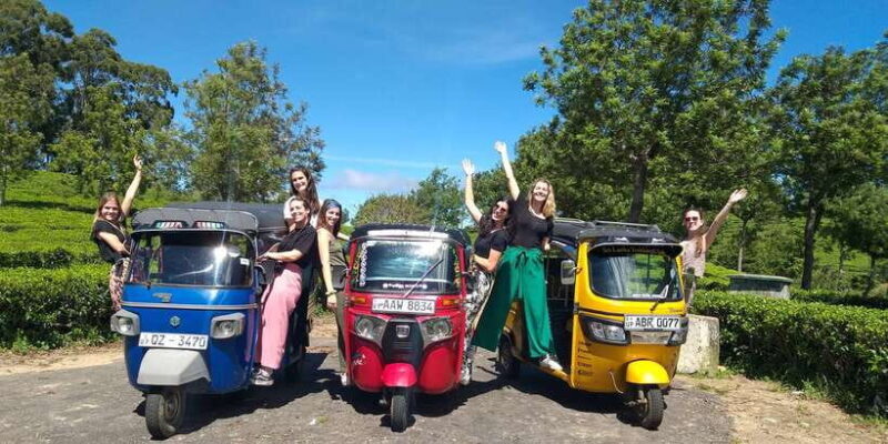 Tuk-Tuk Safari Liptons seat,Tea Fields Hike,TeaFactory Tour - What Travelers Are Saying