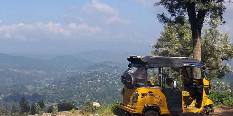 Tuk-Tuk Safari Liptons seat,Tea Fields Hike,TeaFactory Tour - Who Will Love This Tour?