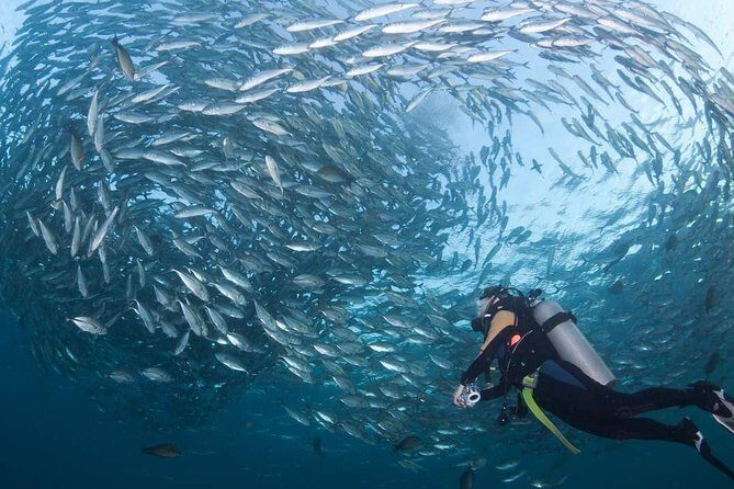 Tulamben Diving Tour Shipwreck USS Bali - Key Points