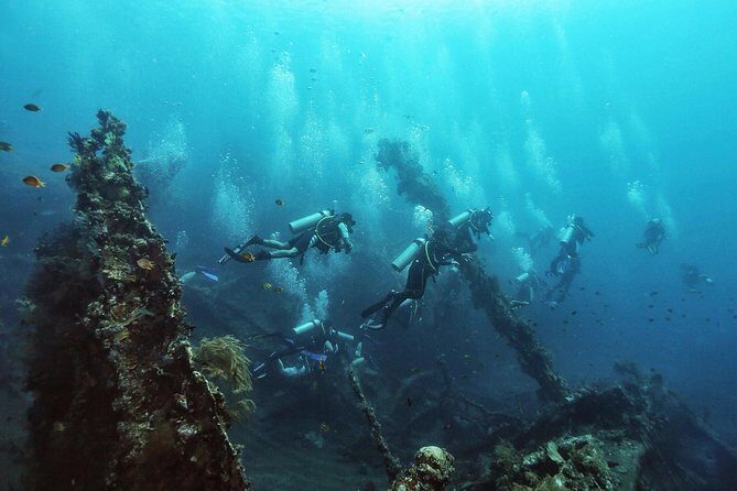 Tulamben Diving Tour Shipwreck USS Bali - Price & Value: Is It Worth It?