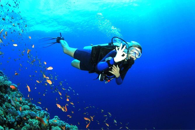 Tulamben Diving Tour Shipwreck USS Bali - Frequently Asked Questions
