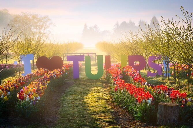 Tulip Valley Farms U Pick Experience - Who Should Consider This Tour?