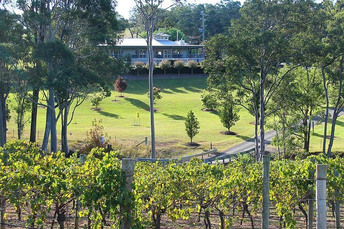 Tulloch Wines - Wine Tasting paired with Local Handmade Chocolates - A Comprehensive Look at Tulloch Wines Tasting Experience