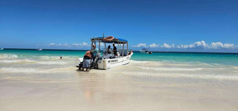 Tulum: 2-Hour Snorkeling in Two Spots of Tulum's Reef - Key Points