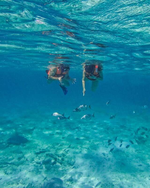 Tulum: 2-Hour Snorkeling in Two Spots of Tulum's Reef - The Value of This Snorkeling Tour