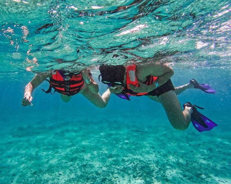 Tulum: 2-Hour Snorkeling in Two Spots of Tulum's Reef - Authentic Experiences and Authentic Encounters