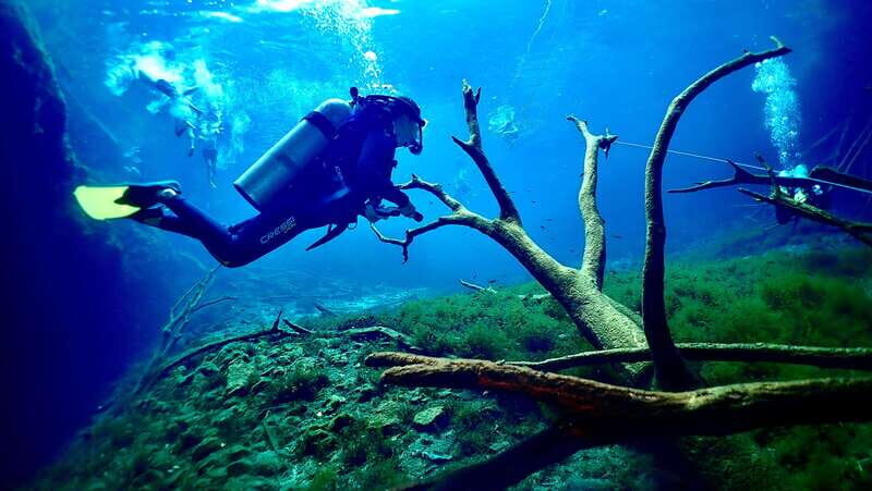 Tulum: 2 Tank Cenote Dive - Tulum: 2 Tank Cenote Dive — An Authentic Underworld Adventure in Quintana Roo