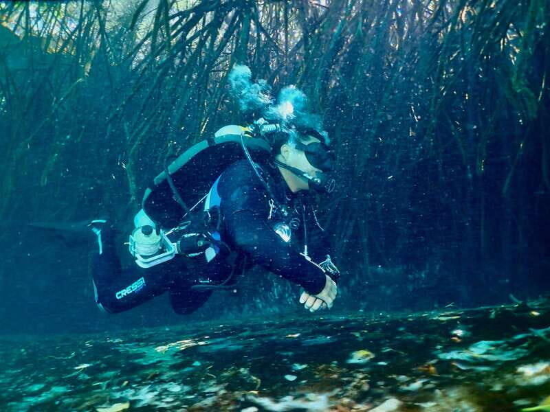 Tulum: 2 Tank Cenote Dive - Who Will Love This Tour?