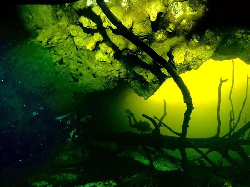 Tulum: 2 Tank Cenote Dive - FAQ