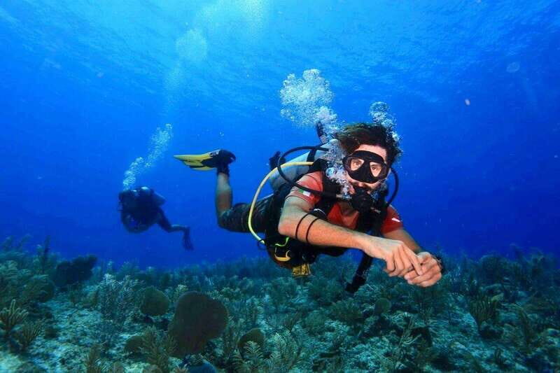 Tulum: 2 Tank Reef Diving - Whats Included and Whats Not