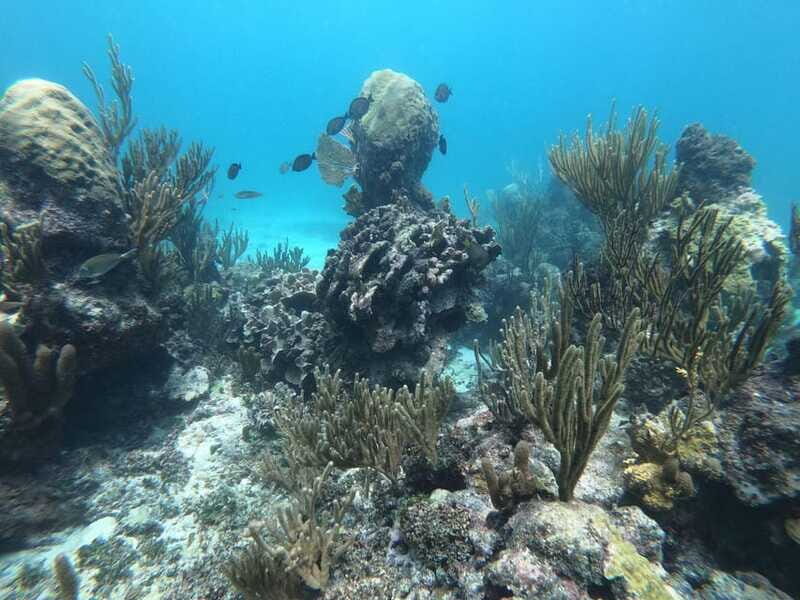 Tulum: 3 hour Snorkel & sailing experience - Authenticity and Value