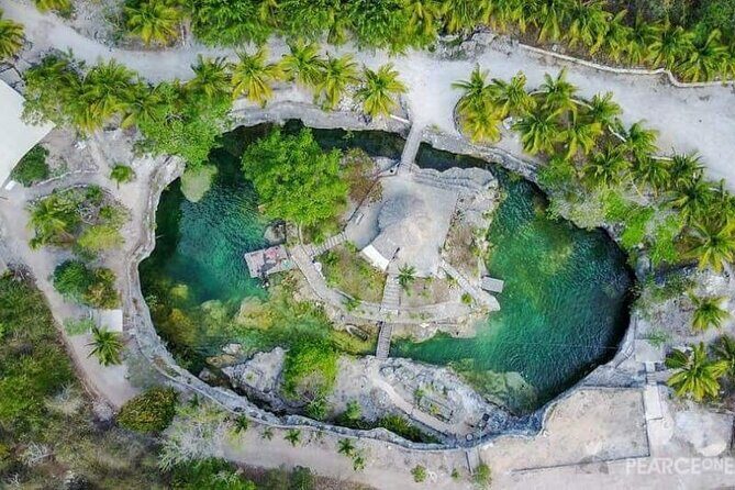 Tulum 4 Cenotes at home Turtle and Sculpture Mother Nature - Transportation & Timing: Why They Matter