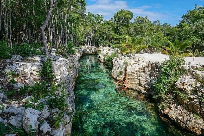 Tulum 4 Cenotes at home Turtle and Sculpture Mother Nature - The Value Proposition