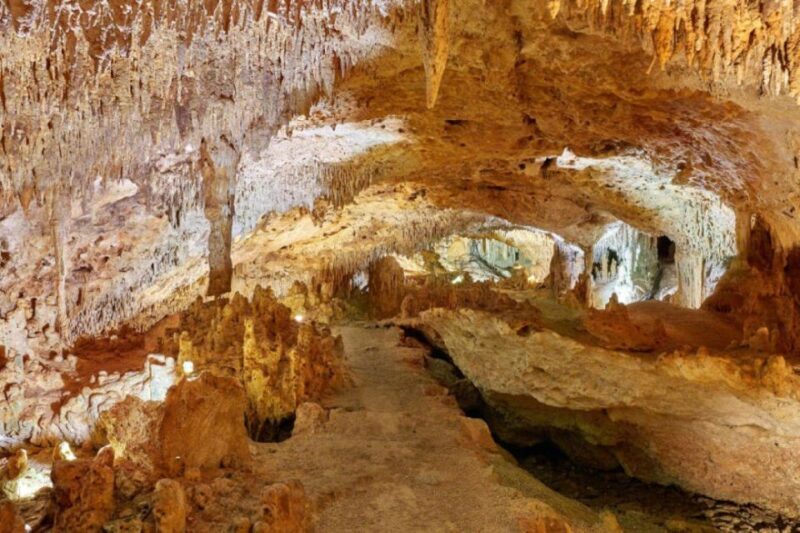 Tulum: Akumal Turtles and Underground Cenote Swim Tour - Value and Quality
