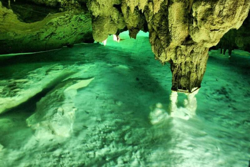 Tulum: Akumal Turtles and Underground Cenote Swim Tour - FAQ