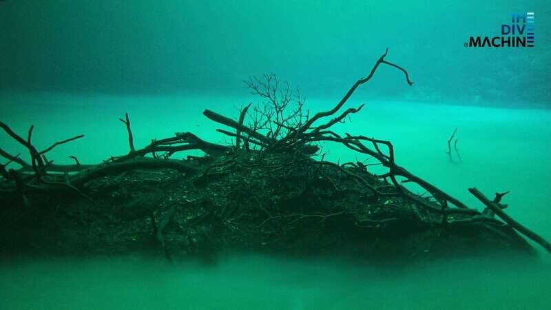Tulum: Angelita & Carwash Cenotes Dive - Key Points