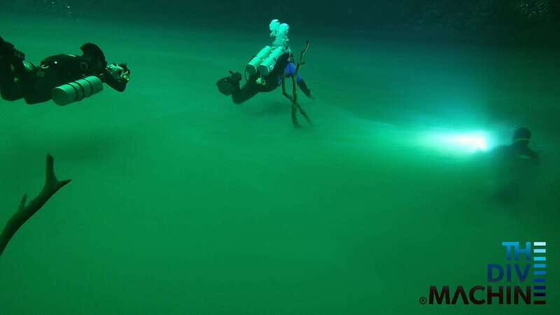 Tulum: Angelita & Carwash Cenotes Dive - An In-Depth Look at the Cenote Adventure