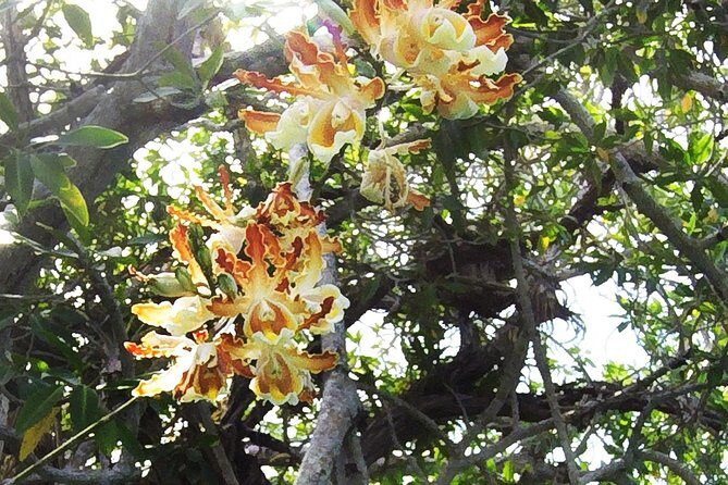 Tulum Archaeological Site & Sian Ka'an Muyil Tour from Tulum - Summary of the Experience