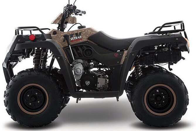 Tulum Area Experiences ATV Daily Rental - Why Choose This ATV Rental?