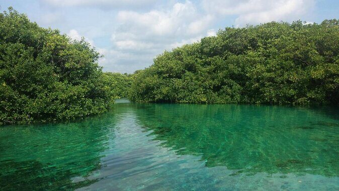 Tulum Area Experiences Guided 2 Tank Scuba Dive Casa Cenote & Barrier Reef-Lunch - Key Points