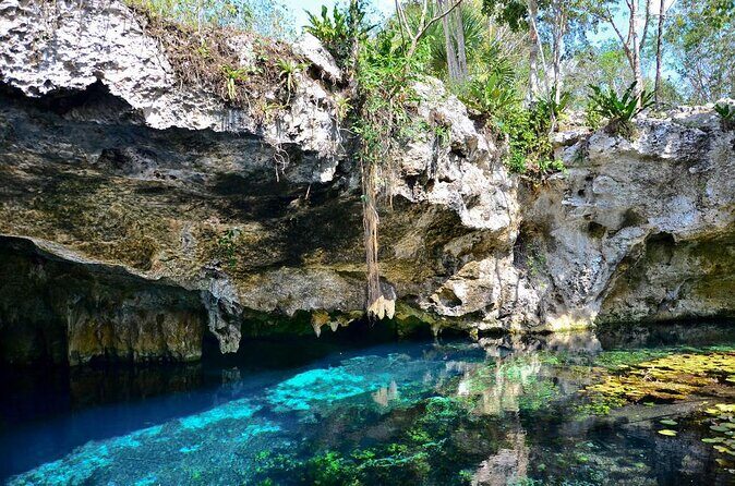 Tulum Area Experiences Guided E-Bike Tour- 3 Cenote's Snorkel/Swim & Local Lunch - Introduction: What’s the Tour All About?