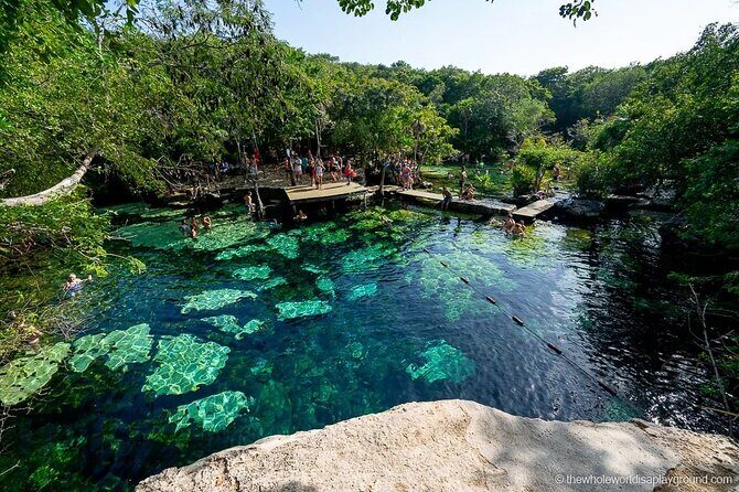 Tulum Area Experiences Guided E-Bike Tour- 3 Cenote's Snorkel/Swim & Local Lunch - The Ride and the Experience
