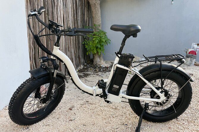 Tulum Area Experiences Guided E-Bike Tour- 3 Cenote's Snorkel/Swim & Local Lunch - Snorkeling and Cenote Time