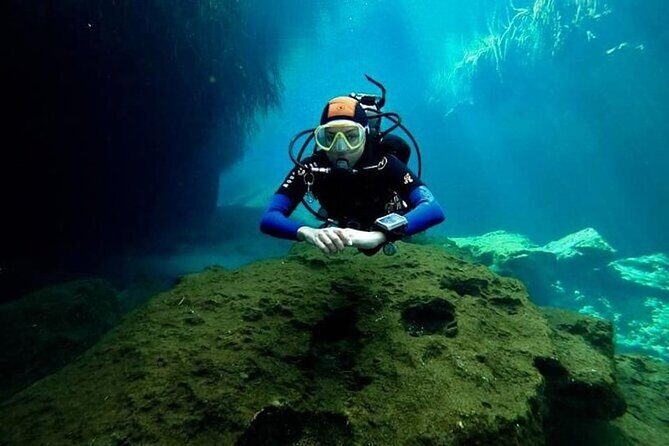 Tulum Area Experiences "Try" Scuba Diving Casa Cenote - Snacks - No experience - The Experience in Detail