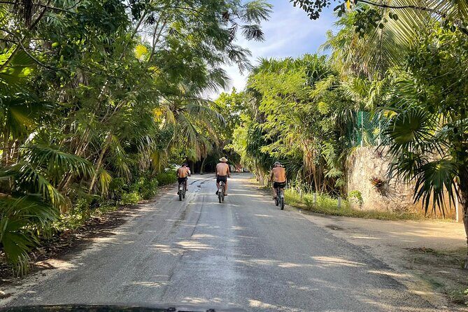 Tulum Area Guided E-Bike + Snorkeling Jungle Tour - Dos Ojos & 2 Cenotes + Lunch - Key Points