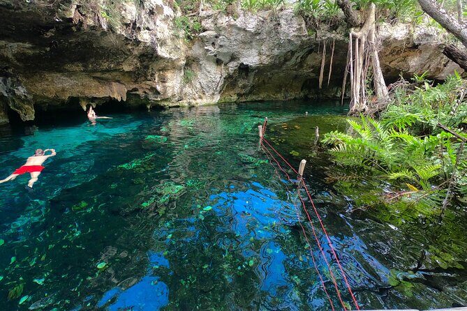 Tulum Area Guided E-Bike + Snorkeling Jungle Tour - Dos Ojos & 2 Cenotes + Lunch - Authentic Experiences and Considerations