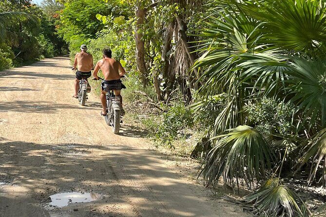Tulum Area Guided E-Bike + Snorkeling Jungle Tour - Dos Ojos & 2 Cenotes + Lunch - Who Will Love This Tour?