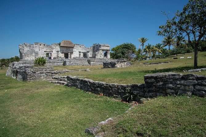 Tulum & Cenote Adventure - An In-Depth Look at the Tulum & Cenote Adventure