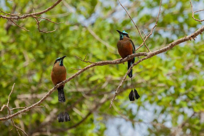 Tulum & Cenote Adventure - The Sum Up